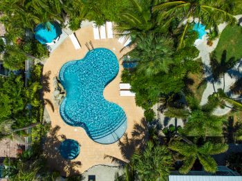 Aerial view of a uniquely-shaped swimming pool surrounded by lush greenery and lounge chairs, creating a tropical oasis atmosphere.