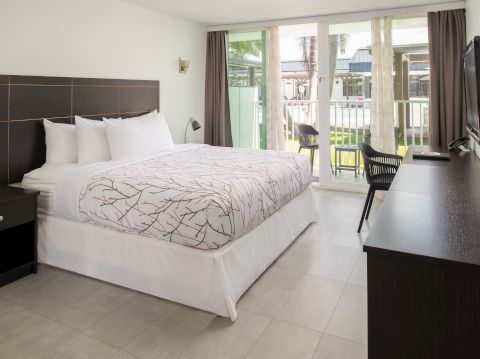 A tidy hotel room with a queen bed, two nightstands, a desk, a wall-mounted TV, and a balcony overlooking greenery. End.