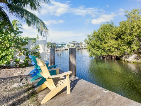 A serene waterfront scene with two Adirondack chairs, palm trees, and a view of a calm body of water under a blue sky.