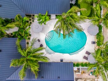 An aerial view of a luxurious outdoor pool surrounded by palm trees, lounge chairs, and umbrellas within a residential area.